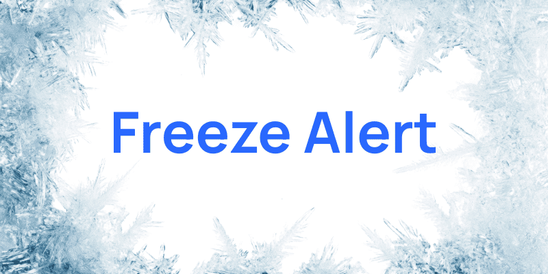 freeze alert